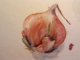 Watercolor – first steps /video art lesson/